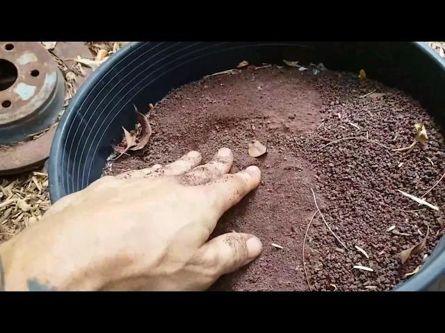 Why I use Crushed Lava Sand in my Compost