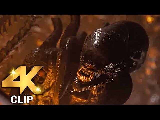 Xenomorph Chase Scene | ALIEN ROMULUS (2024) Movie CLIP 4K