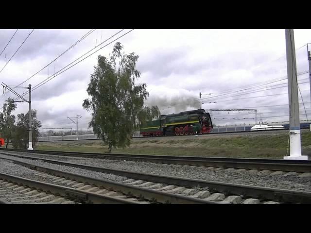 Паровоз П36-0031