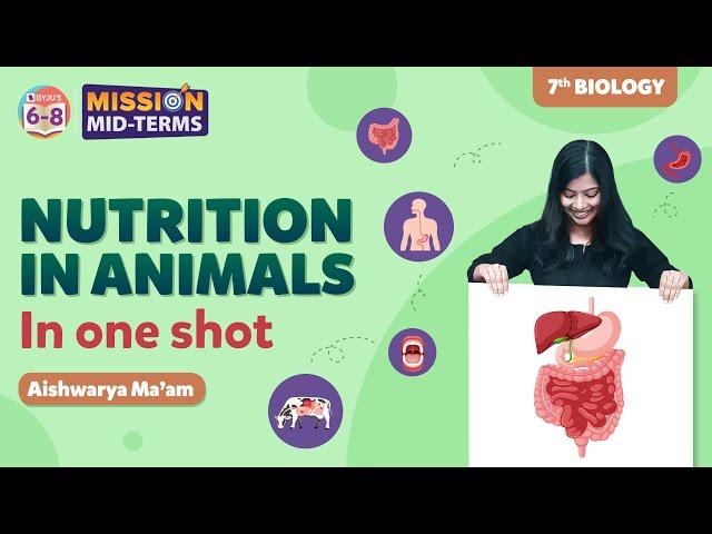 Nutrition in Animals Class 7 Science in One shot (Chapter 2) | BYJU'S - Class 7