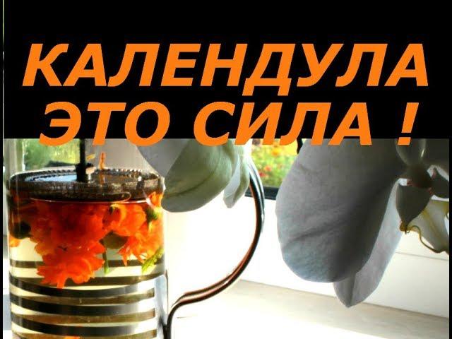 ПЯТЬ ПРИЧИН ПИТЬ КАЛЕНДУЛУ ! ЦВЕТКИ НОГОТКИ И ДЛЯ ЛИЦА И ДЛЯ СЕРДЦА ! СУПЕР РАСТЕНИЕ ДЛЯ ЗДОРОВЬЯ !