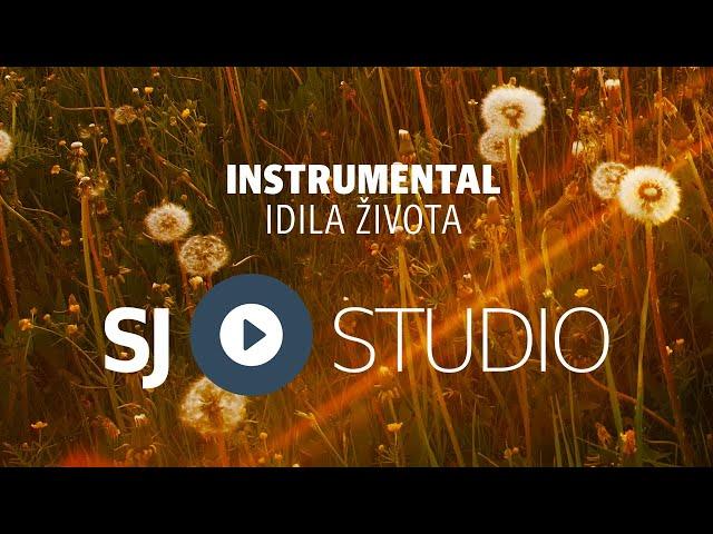 ® SJ studio - Idila zivota (instrumental) © 2015