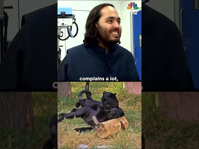 Anant Ambani Works 15 Hours A Day! | Jamnagar | Wildlife | N18S | CNBC TV18