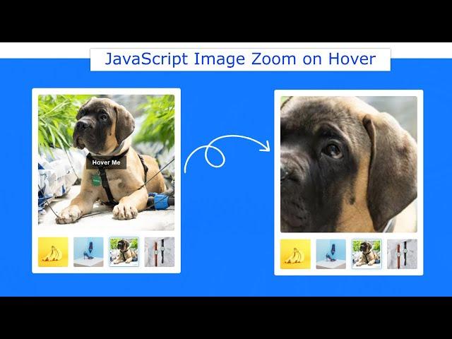 Image Magnifier JavaScript | Image Zoom on Hover using JavaScript | Image Hover Effect