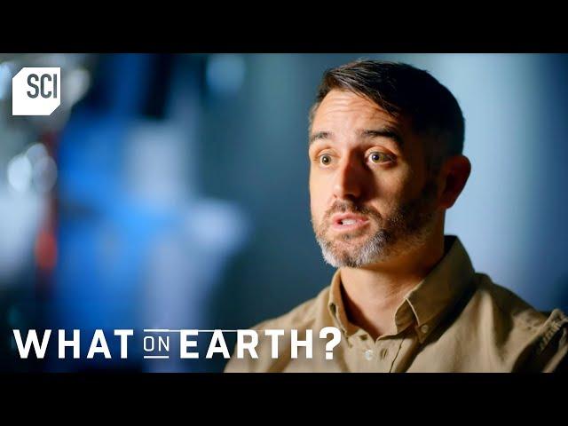 Inside the MYSTERIOUS World of 200 Million Termite Mounds | What On Earth | Science Channel