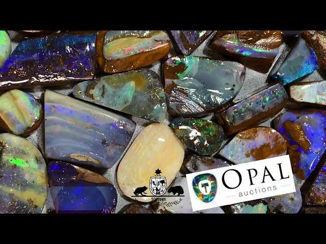 No Reserve Boulder Opal Auctions