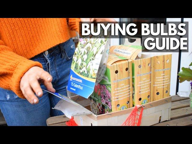 4 Useful Tips For Buying Spring-Flowering Bulbs | Balconia Garden