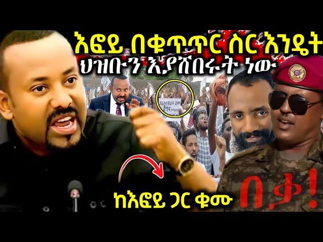 ሰበር️እፎይ በቁጥጥር ስር ዋለ በዝማይ አከባቢ ተይዟል? አሁንም መልሳችን አንድ ነው እፎይን አንሰጥም ሞጣ አበደ