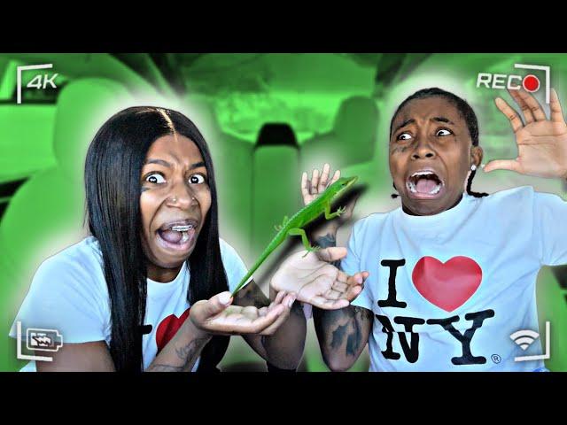 THROWING A “LIVE LIZARD”  On MY ANGRY GIRLFRIEND  * HILARIOUS *