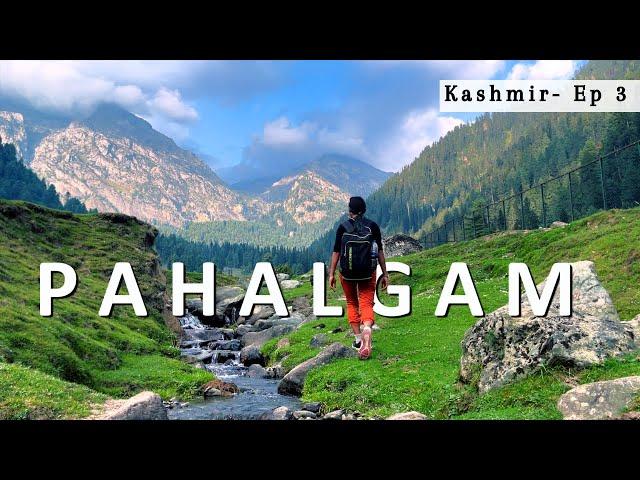 Pahalgam, Kashmir | Most Beautiful Place in India | Mini Switzerland | Aru Valley | Betaab Valley