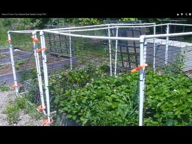 How to Fence Your Raised Bed Garden Using PVC