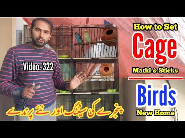 Cage setting, Matki & Stick Adjustment, New Birds in ABP, Detail in Urdu By |Arham|., Video. 322