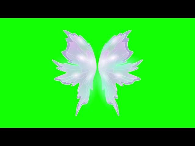 Green Screen Animated Butterfly Wings | Free Download