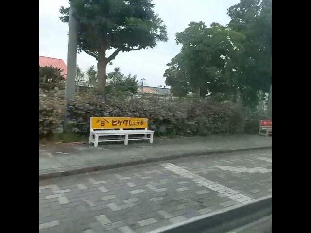 kebanyakan jalan kaki sma di jepang.. #storywa #viral #japan