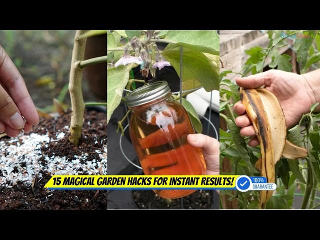 15 MAGICAL HOUSEHOLD GARDEN HACKS  GARDENING TRICKS & TIPS