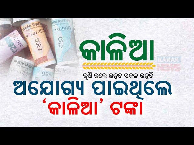 CAG Report Presented In Odisha Assembly Today | Some Facts About Kalia Yojana Revealed