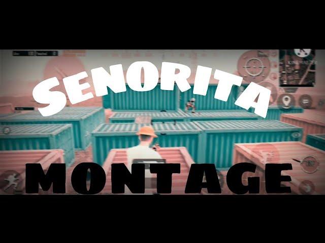 Señorita  PUBG/BGMI 3D Montage |