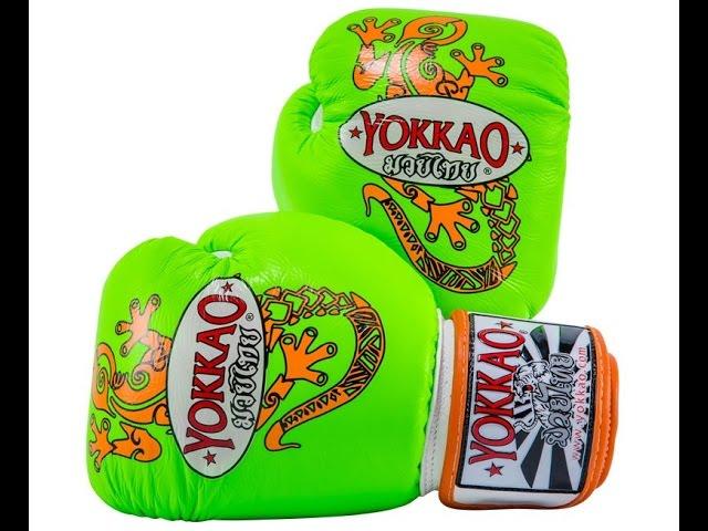 YOKKAO review