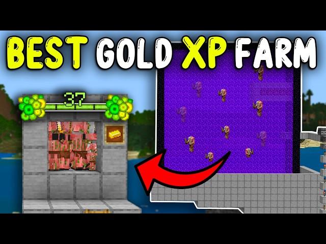 BEST GOLD XP Farm Minecraft Bedrock 1.21! (1000+ GOLD / H)