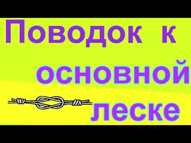 Как привязать поводок к основной леске, рыбалка