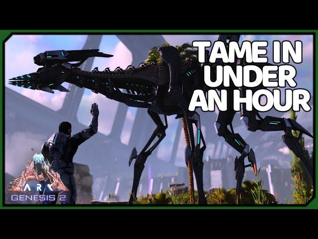 Early Stryder Tame | 3 Minute Guides