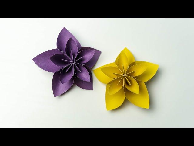 DIY Beautiful Paper Flowers: Step-by-Step Tutorial