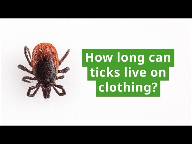 How Long Can Ticks Live on Clothing?