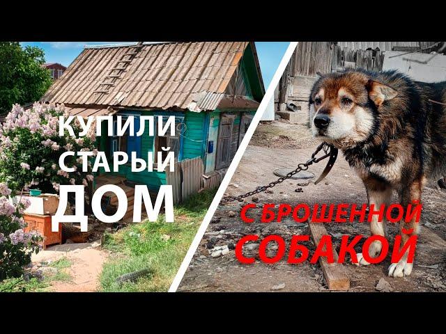 Купили Старый Дом | С БРОШЕННОЙ СОБАКОЙ И СЛОЖНЫМ УЧАСТКОМ | 1 часть