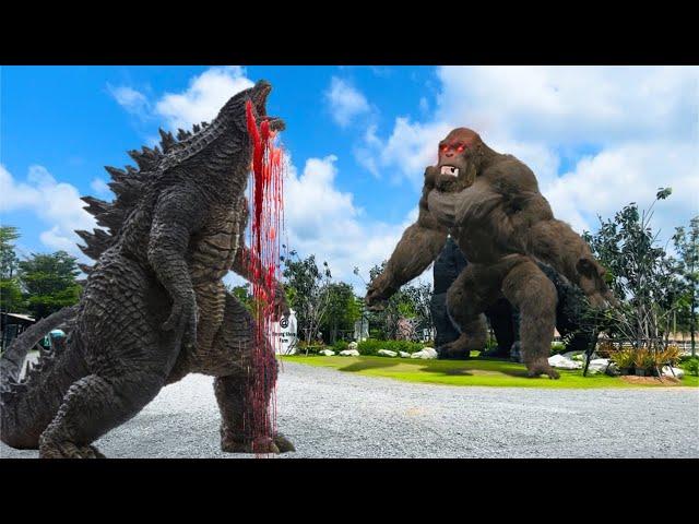 Godzilla vs. Kong - KING KONG EN LA VIDA REAL | Egor