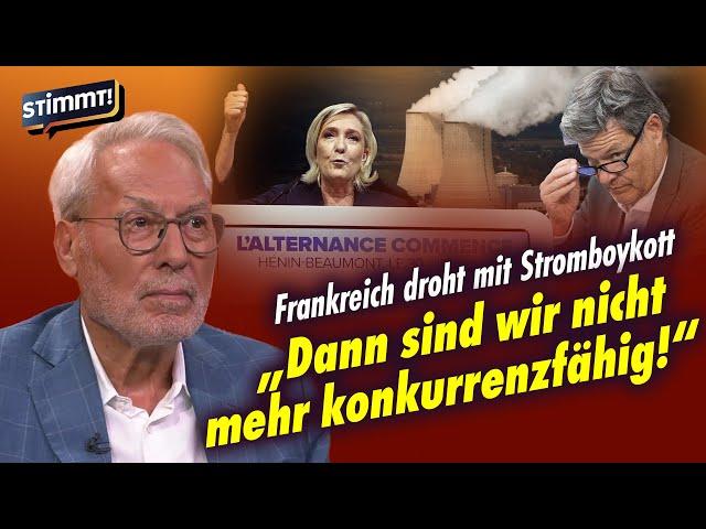 Kein Atomstrom mehr aus Frankreich? | Fritz Vahrenholt bei Stimmt! Der Nachrichten-Talk