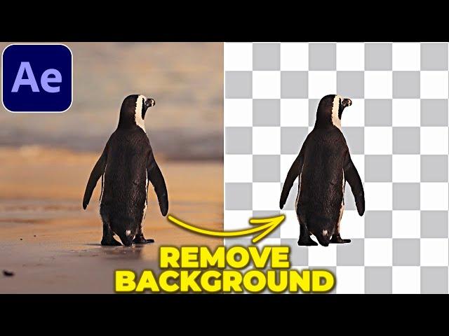 REMOVE BACKGROUND from VIDEO in After Effects | Rotobrush Tutorial