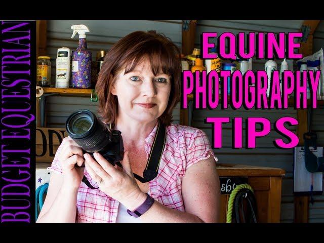 Equine Photography Tips and Tricks