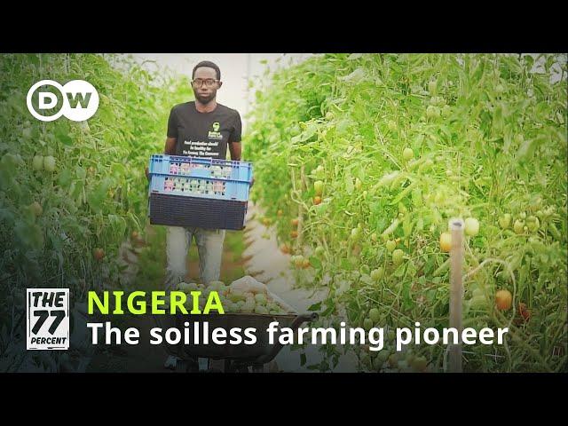 Nigeria's Soilless Farming Pioneer