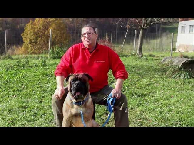 HundeCoach Roland Raske .... das Original !!