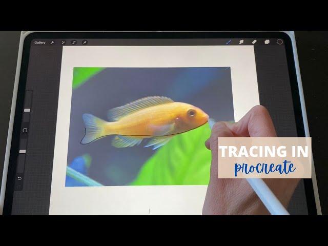 Tracing a photo in Procreate (how To step by step Tutorial)