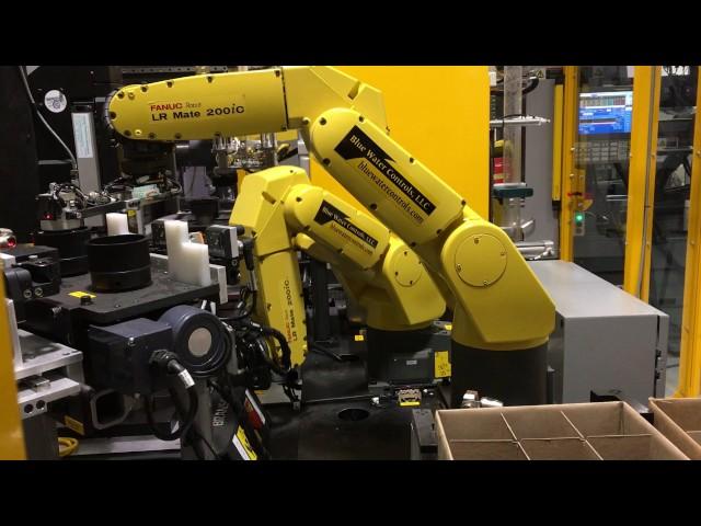 Fanuc LRMate Robot Used for Automated Packing