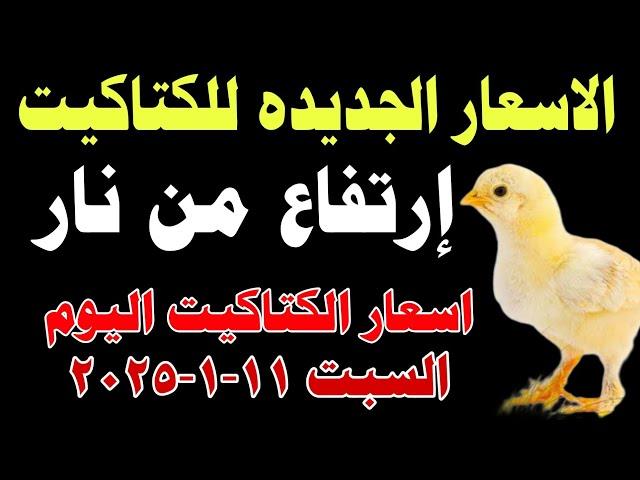 اسعار الكتاكيت البيضاء اليوم/ سعر الكتكوت الأبيض اليوم السبت 11-1-2025 #اسعار_الفراخ_اليوم