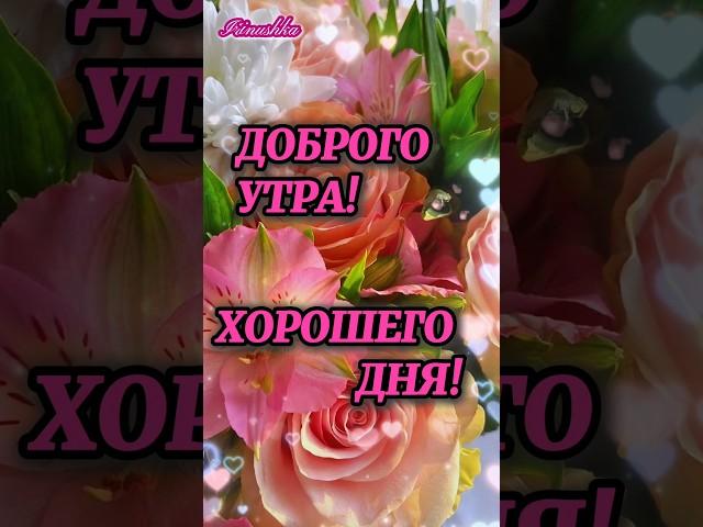 Доброго утра! Хорошего дня! #сдобрымутром #доброеутро #музадуши #shortsvideo