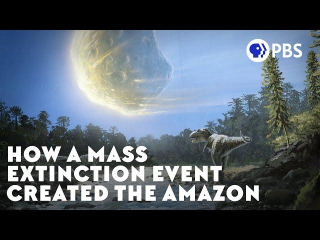 How a Mass Extinction Event Created the Amazon