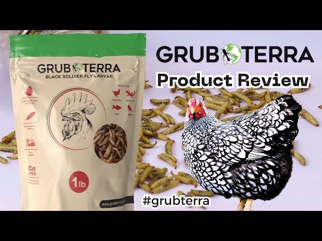 GrubTerra Honest Product Review #grubterra #homesteading #feedingpoultry #carnivore  #wyandotte