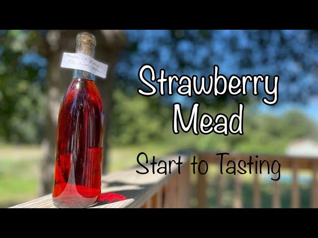 Strawberry Mead 2.0 - From Start to Tasting!