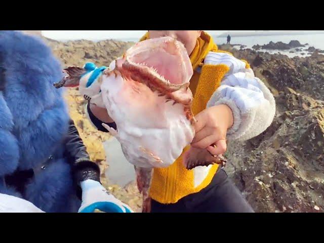 Monkfish with a huge mouth, Xiao Zhang wants to see if the mouth of the fish can fit her head