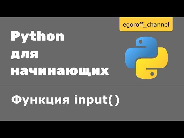 5 Ввод и вывод данных python. Команда input()