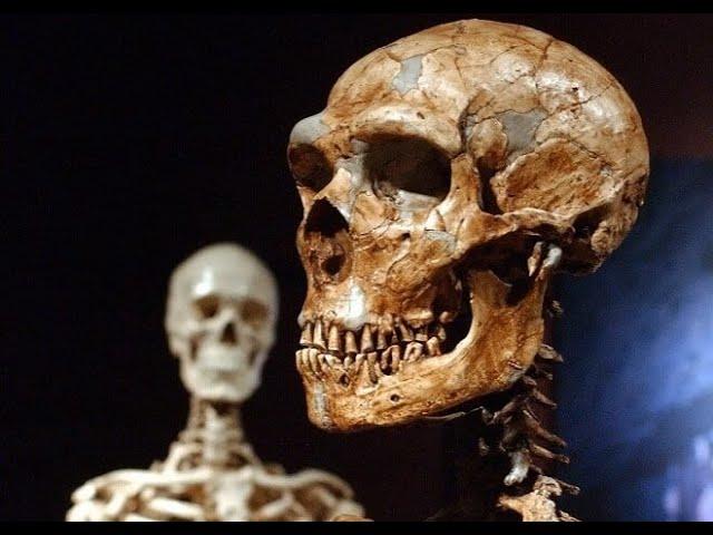 200 Ancient ‘Giant’ Skeletons Unearthed in Cayuga, Canada! Great Lakes Region! Where Are They Today?