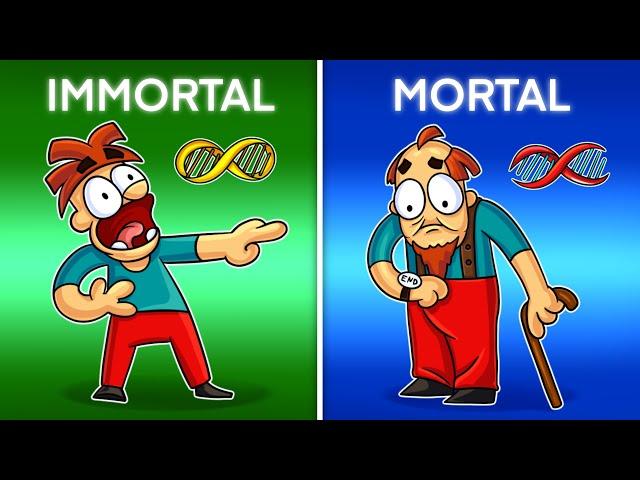 I am Immortal! The Pros and Cons of Immortal Life!