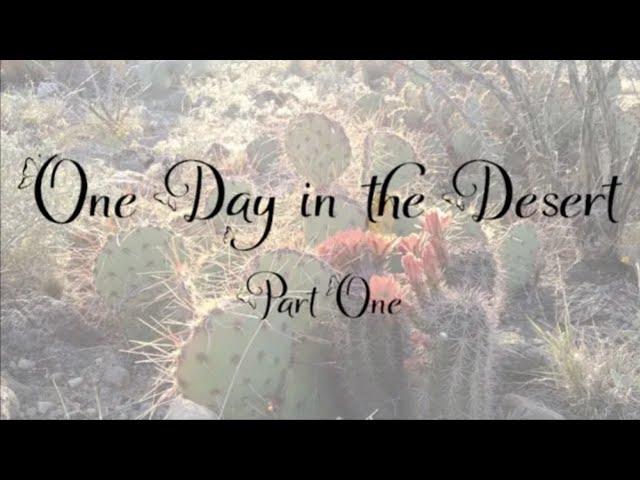 One Day in the Desert Part 1: Introduction to the Chihuahuan Desert