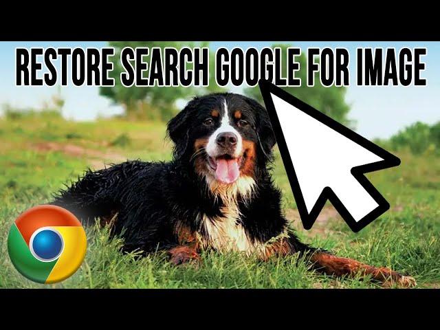 How to Get Around the Search images with Google Lens Feature in Google Chrome