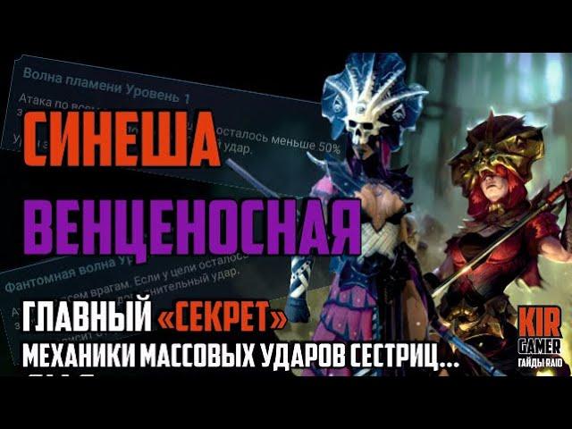 ВЕНЦЕНОСНАЯ И СИНЕША. Как на самом деле работают их массовые удары? RAID Shadow Legends ГАЙД / ОБЗОР