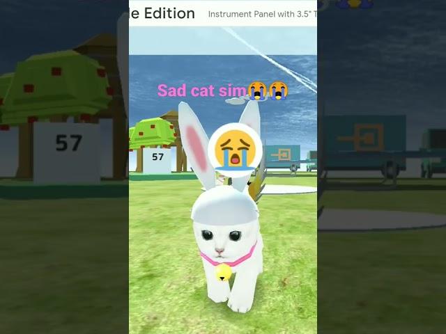 cat sim sad story and not love love is gone broke hearth