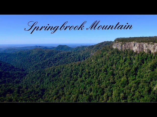 Springbrook Mountain - My Cinematic Short Film